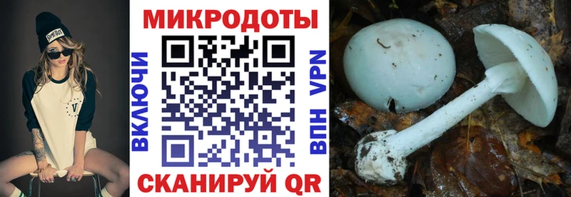 Галлюциногенные грибы GOLDEN TEACHER  ссылка на мегу ссылки  Дудинка 