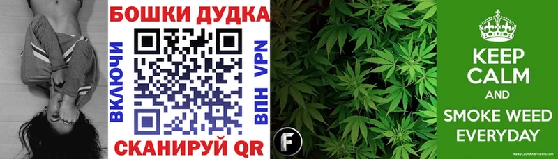 Бошки марихуана Bruce Banner  закладка  Дудинка 